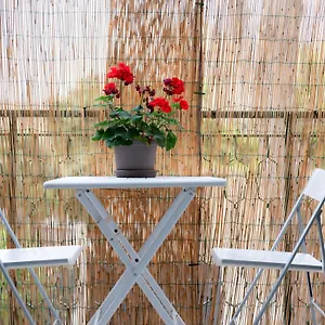  Appartamento Mondello Cottage