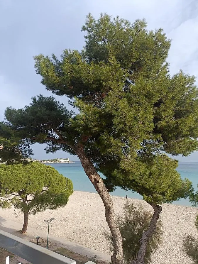 La Perla Sul Mare Apartment Mondello Homestay